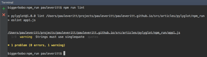Screenshot npm run lint