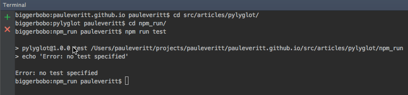 Screenshot npm run test
